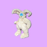 Bunny Rabbit Friend