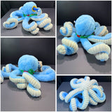 Clown Octopus
