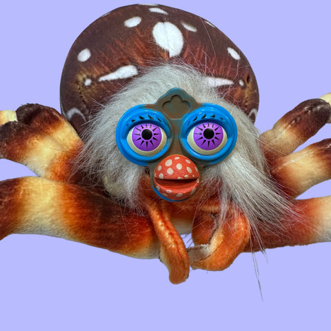 Spooky Spider