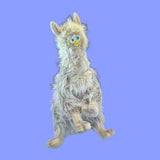 large llama