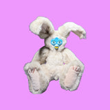 Bunny Rabbit Friend