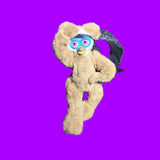 Free spirit Teddy