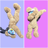 Free spirit Teddy