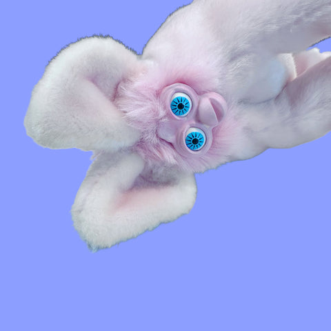 Piggy Furb