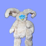 Bunny Rabbit Friend
